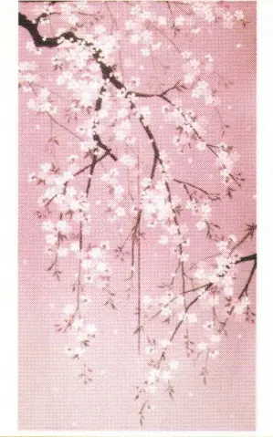 創作のれん しだれ桜(30枚入り)